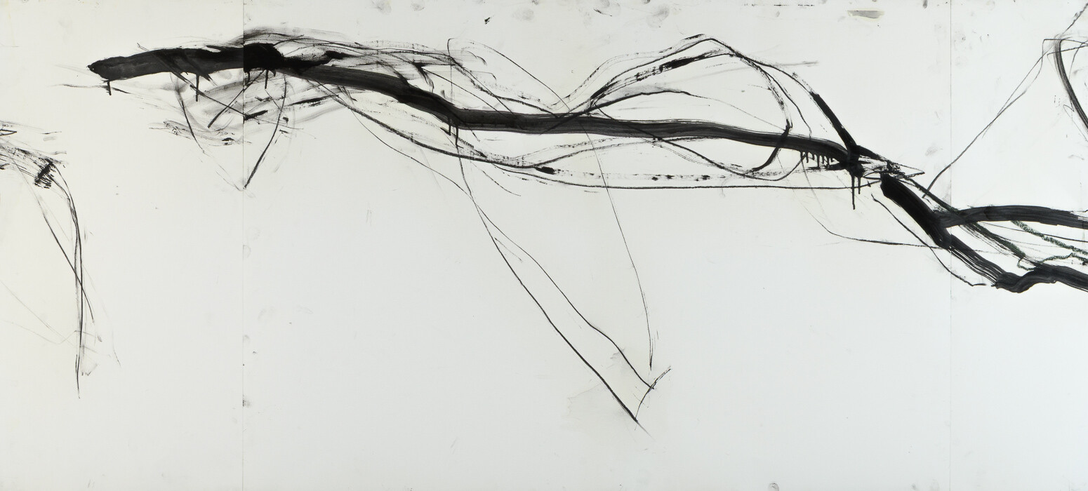 Zeichnung aus Serie B, Kohle, Öl auf Papier, 155. x 70